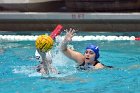 WWPolo vs CC  Wheaton College Women’s Water Polo vs Connecticut College. - Photo By: KEITH NORDSTROM : Wheaton, water polo